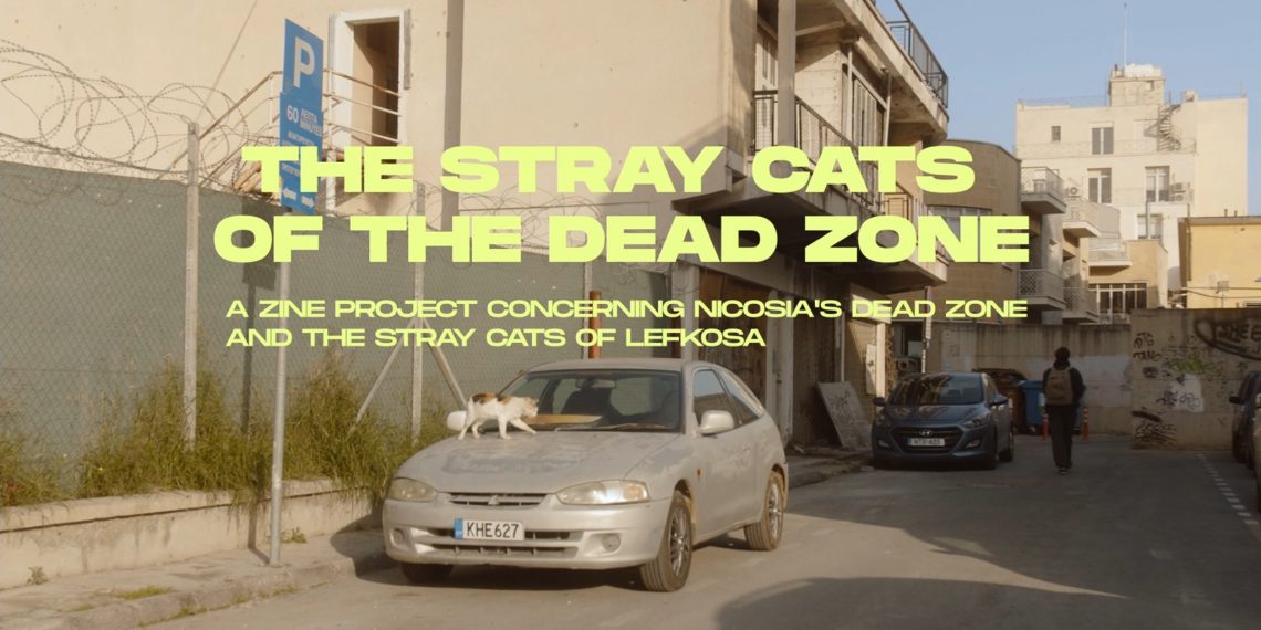 «Οι αδέσποτες γάτες της νεκρής ζώνης» πρωταγωνιστούν σε ντοκιμαντέρ