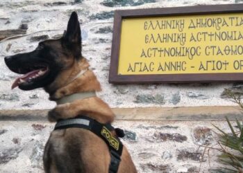 Ο πιο διάσημος σκύλος περιπολίας της ΕΛ.ΑΣ. συνταξιοδοτείται