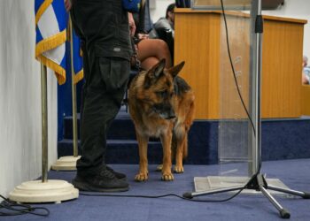 Sandy: Ο αστυνομικός σκύλος του Β. Αιγαίου