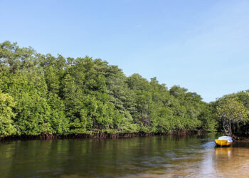 Τι είναι η τρισδιάστατη γεωργία;