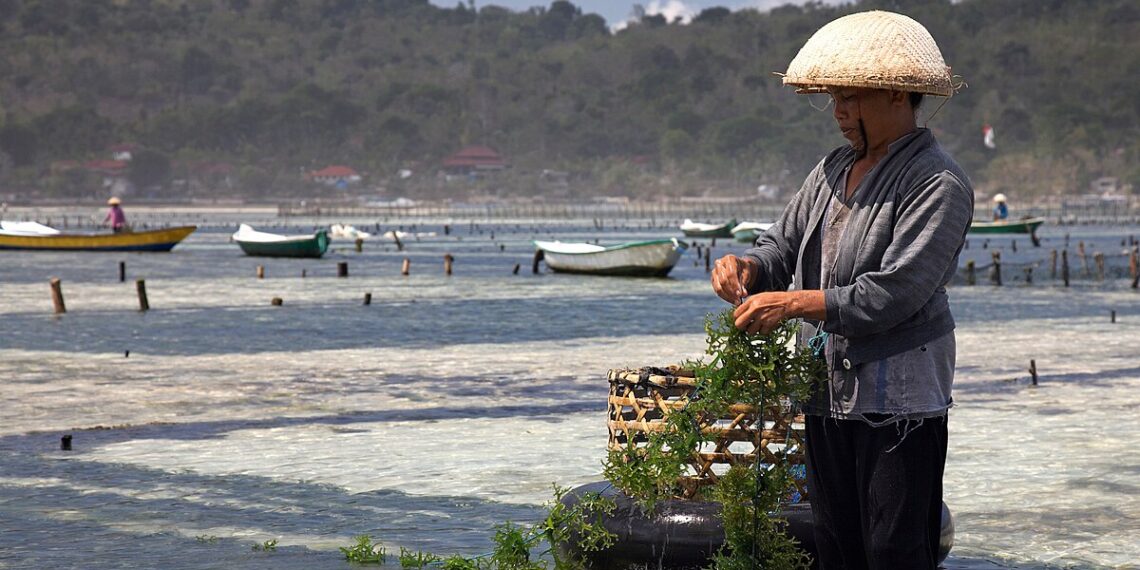 Τι είναι η μπλε οικονομία;