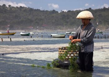 Τι είναι η μπλε οικονομία;