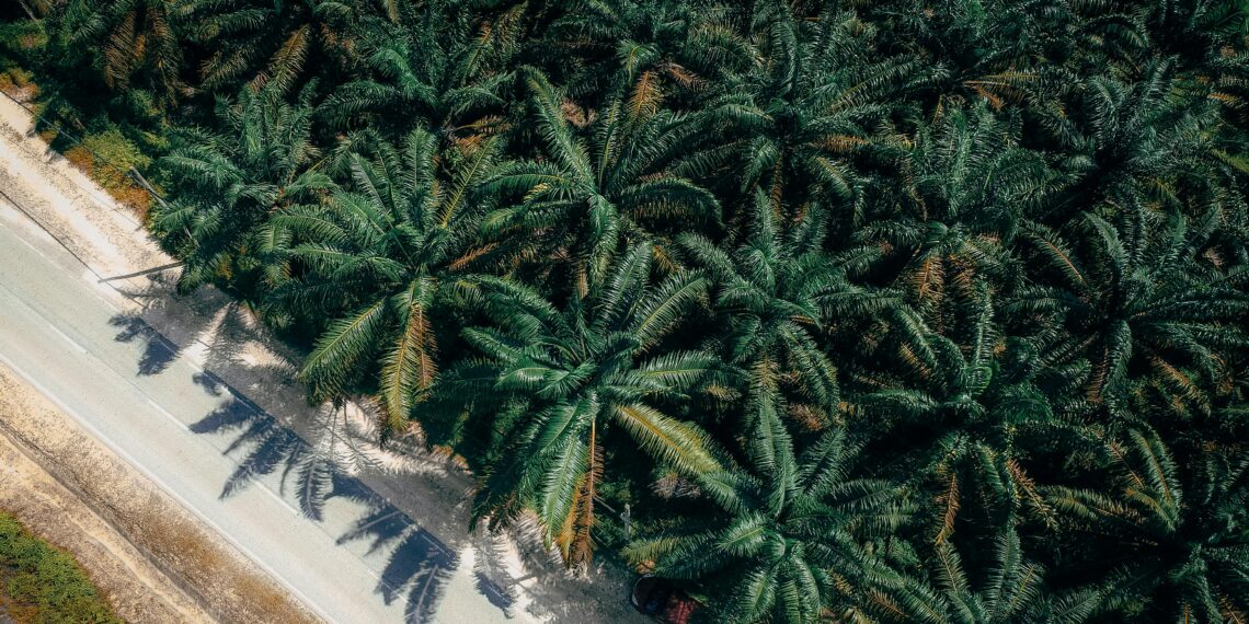 Η αρχή της αφθονίας στη γεωργία