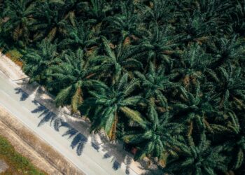 Η αρχή της αφθονίας στη γεωργία