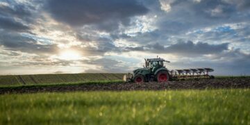 ΟΠΕΚΕΠΕ: 14 προφυλακίσεις για εγκληματική οργάνωση